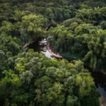 Netizen Indonesia Serbu Hutan Amazon dengan Rating Bintang 1